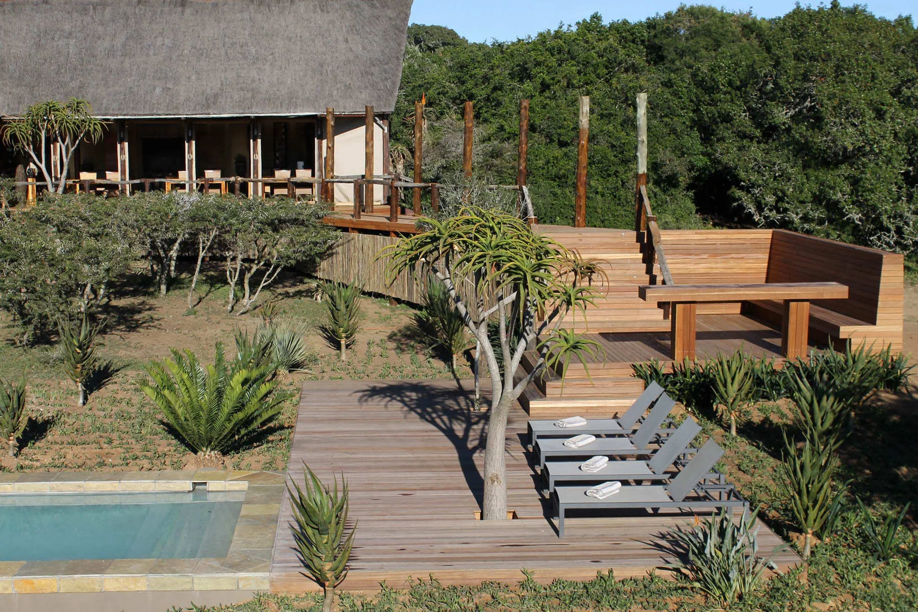 Amakhala Bush Lodge - 9